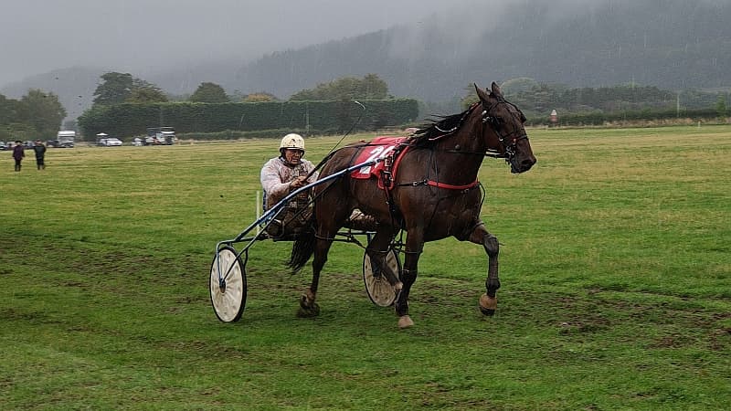 Final Race of Harness Racing Season in Support of Parkinson's UK | ...