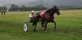 Final race of harness racing season in support of Parkinson's UK