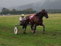 Final race of harness racing season in support of Parkinson's UK