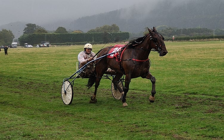 Open 1 winner Fold Fearless