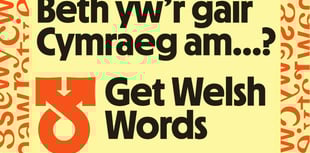 Gwefan newydd i helpu pobl i ddod o hyd i eiriau Cymraeg