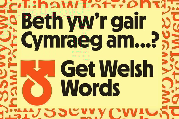 Mae'r wefan newydd yn helpu pobl i ddarganfod lle i ddod o hyd i eiriau ac ymadroddion Cymraeg