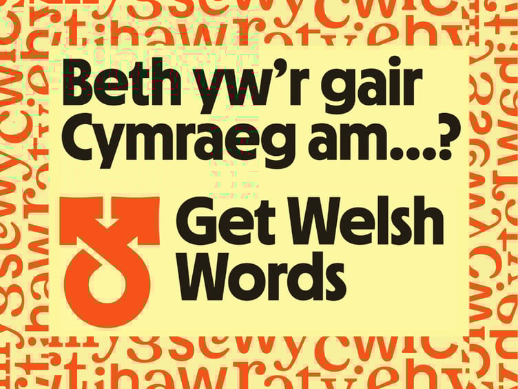 Mae'r wefan newydd yn helpu pobl i ddarganfod lle i ddod o hyd i eiriau ac ymadroddion Cymraeg