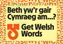 Lansio gwefan newydd i helpu pobl i ddod o hyd i eiriau Cymraeg