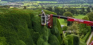 Workers begin 'world's toughest gardening job' in mid Wales