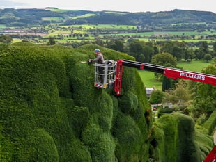 Workers begin 'world's toughest gardening job' in mid Wales