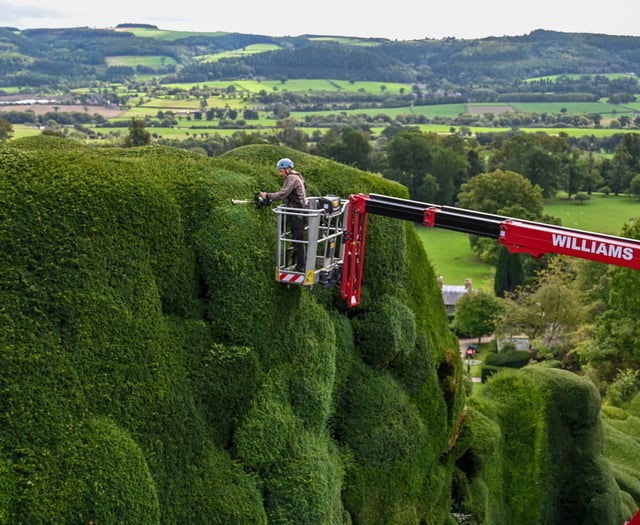 Workers begin 'world's toughest gardening job' in mid Wales