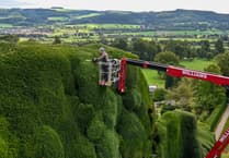 Workers begin 'world's toughest gardening job' in mid Wales