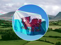 Cymdeithas yr Iaith urges Welsh workplace norm