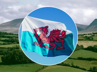 Cymdeithas yr Iaith urges Welsh workplace norm