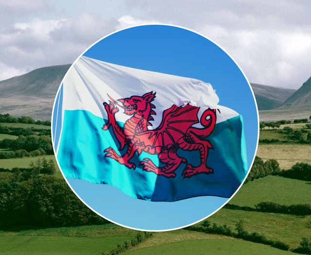 Cymdeithas yr Iaith urges Welsh workplace norm