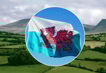 Cymdeithas yr Iaith calls for Welsh at work