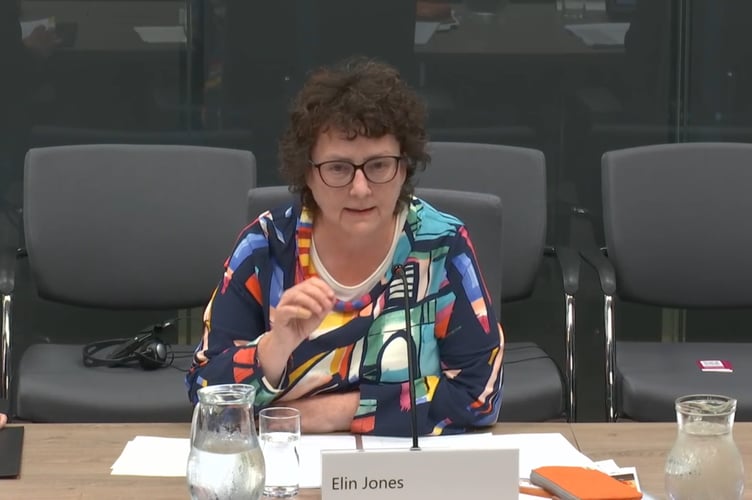 Elin Jones