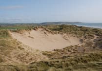 Remains found on Ynyslas beach 'not human' says authorities