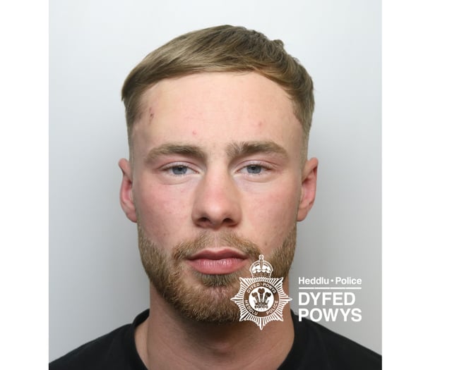 Man jailed following late night Aberystwyth brawl