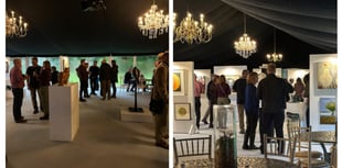 Bala exhibition 'Form & Essence' ends soon