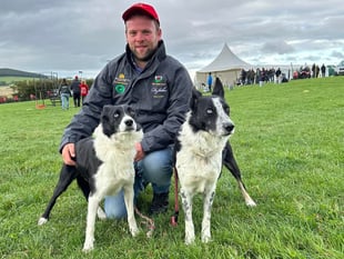 Has Ceredigion got the world's best dog breeder?