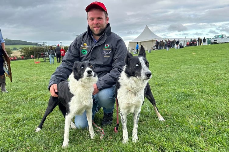 Clwyd Bob (left) and Jock (right) won first and third place at the International Sheepdog Trials in Wrexham this September. Pictured here with owner and dog breeder, Dewi Jenkins. Photo: Dewi Jenkins