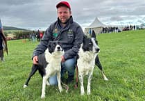 Has Ceredigion got the world's best dog breeder?