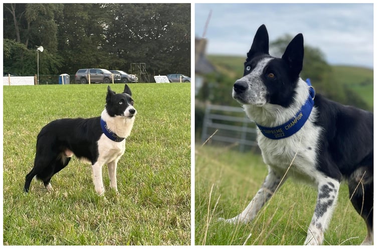 Bob as champion in 2025 (left) and Jock as champion in 2022 (right).