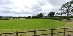 Councillor gets permission for house and shed