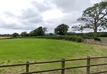Councillor gets permission for house and shed near Llanarth