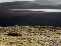Group calls on new Welsh government to protect for Cambrian Mountains