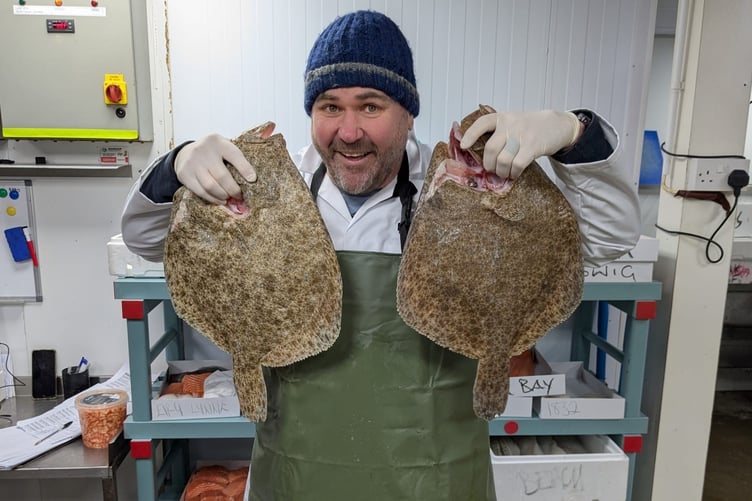 Y seren rygbi Scott Quinnell