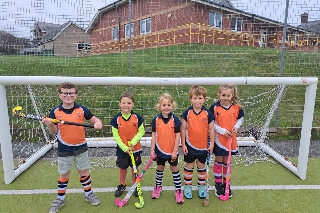 Dysynni Under 8s