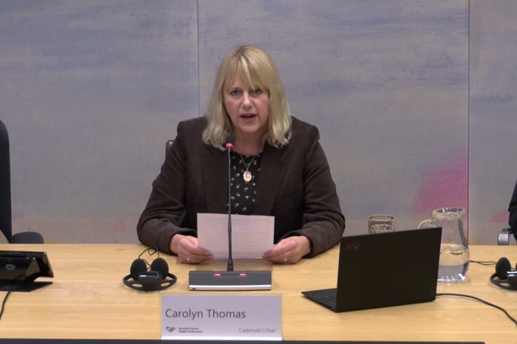 Senedd Carolyn