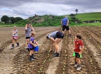 New machinery ring gives farmers chance to trial growing veg