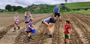 New machinery ring gives farmers chance to trial growing veg
