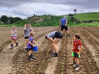 New machinery ring gives farmers chance to trial growing veg