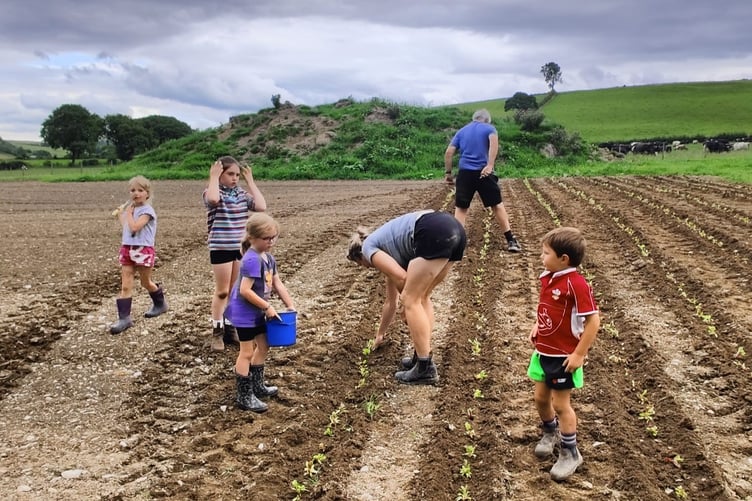 A new project has been launched to support local farmers in diversifying their yields. Photo: Tyfu Bwyd Ceredigion Food Partnership