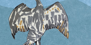 Cardigan project maps local voices amid river sewage scandal