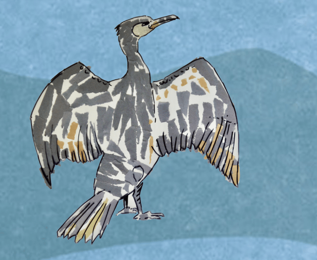 Cardigan project maps local voices amid river sewage scandal