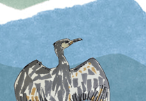 Cardigan project maps local voices amid river sewage scandal