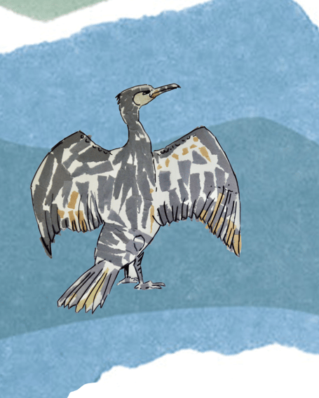 A collage made at a creative workshops with spacetocreate as part of the Llais yr Afon project