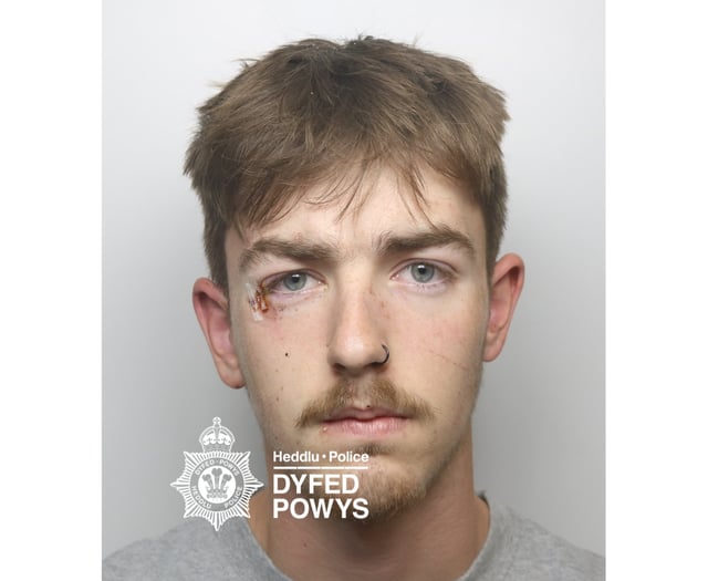 Teen driver caused 'devastation' in vodka-fuelled crash