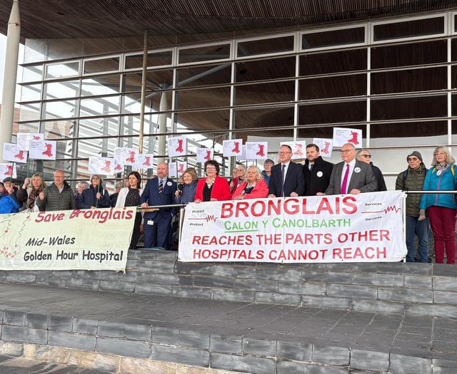 Bronglais campaigners on steps of the Senedd ahead of debate