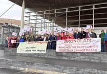 Bronglais campaigners on steps of the Senedd ahead of debate