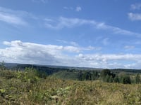 Consultation to be held on Welsh Government-owned wind farm plans