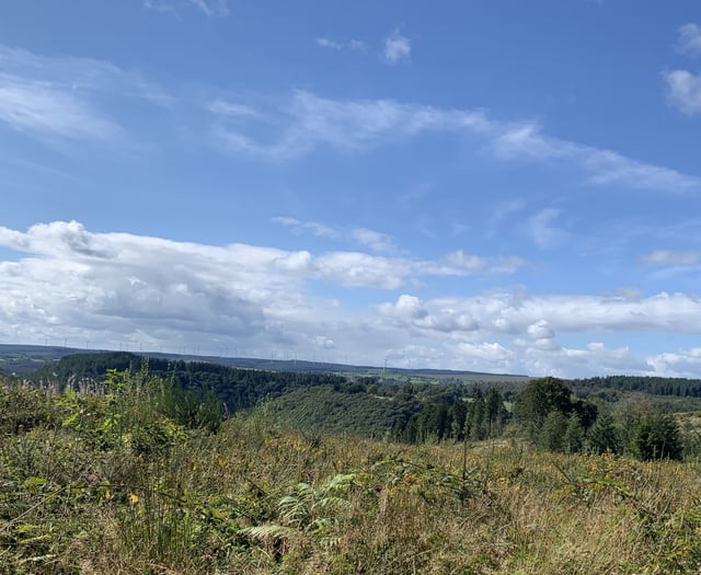 Consultation to be held on Welsh Government-owned wind farm plans