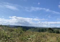 Consultation to be held on Welsh Government-owned wind farm plans