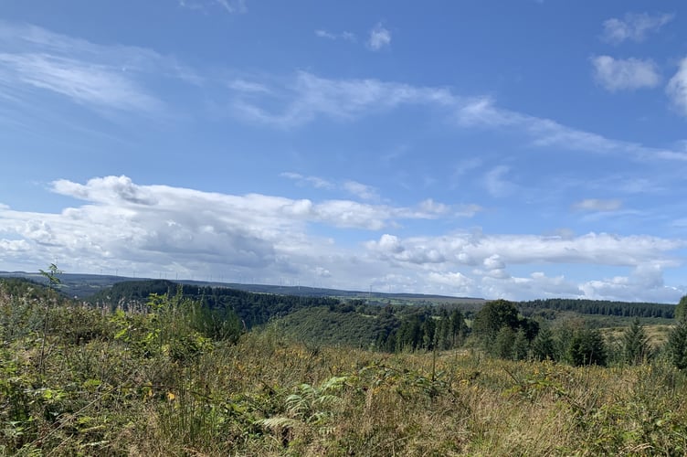 Brechfa