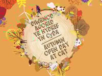 Practical solutions for sustainable living at the CAT this half term