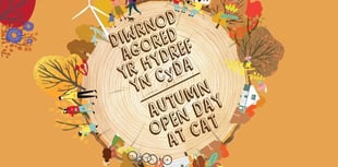 Practical solutions for sustainable living at the CAT this half term