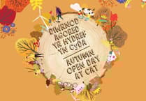 Learn practical solutions for sustainable living at the CAT this half term