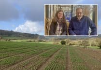 Aberystwyth research could lead to climate-resistant oats