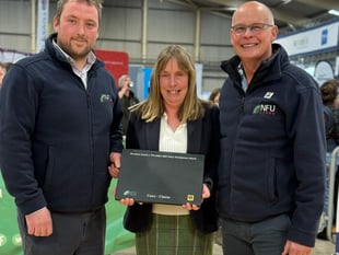 Search begins for Dairy Stockperson of the Year